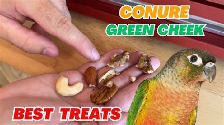 Are cuttlebones good for conures?