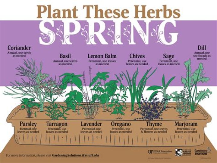 Are herbs year round?