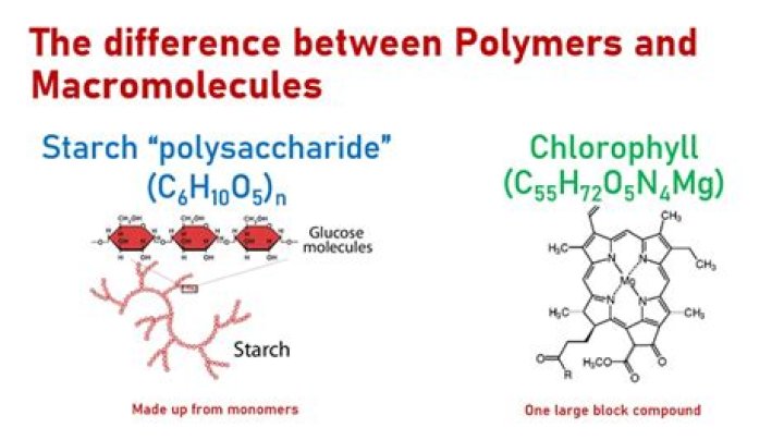 Are macromolecules and polymers the same thing?
