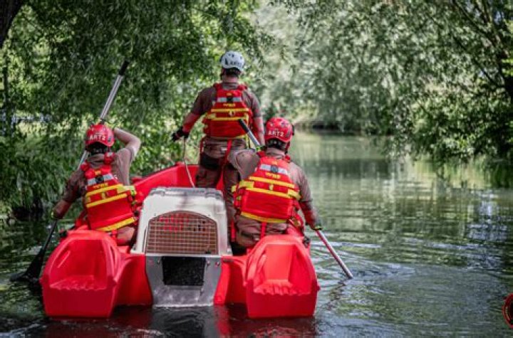 Are paddle boats safe?
