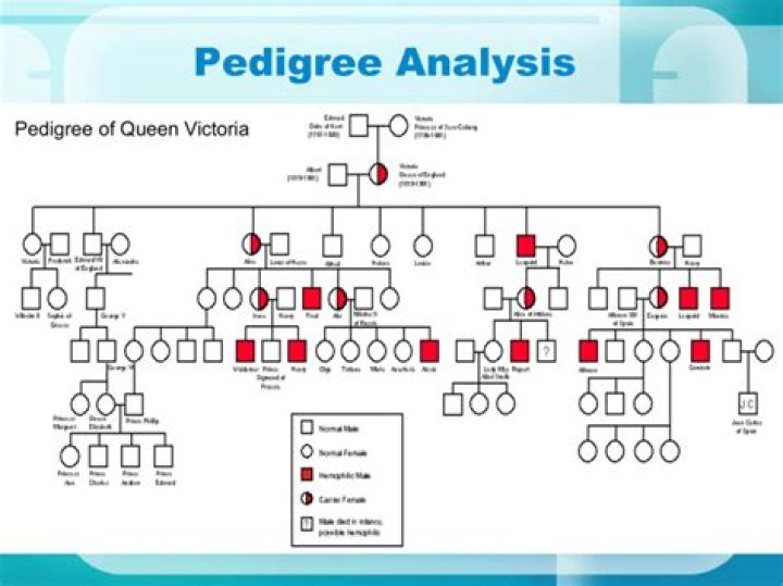 Are phenotypes used in pedigree analysis?