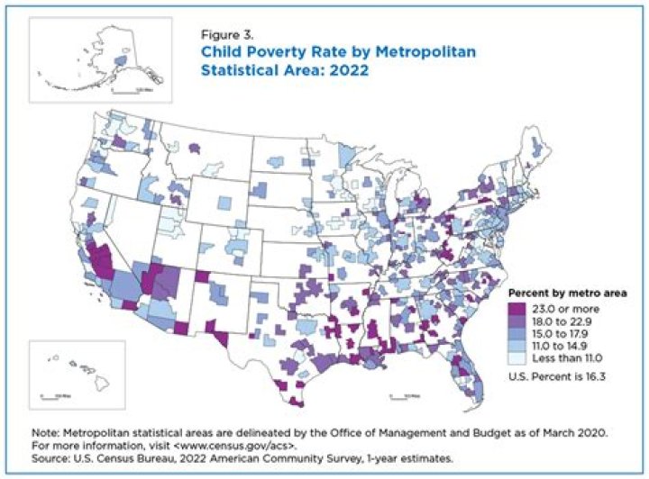 By metropolitan statistical area?