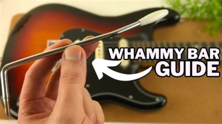 Can a whammy bar work?