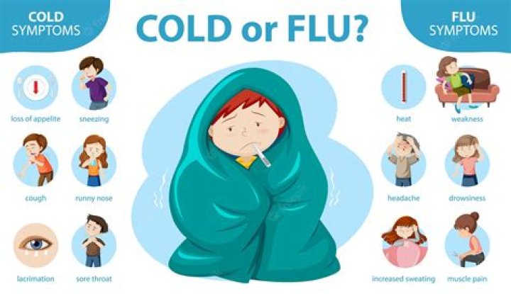 Can being cold make you sick?