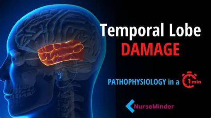 Can temporal lobe damage be reversed?