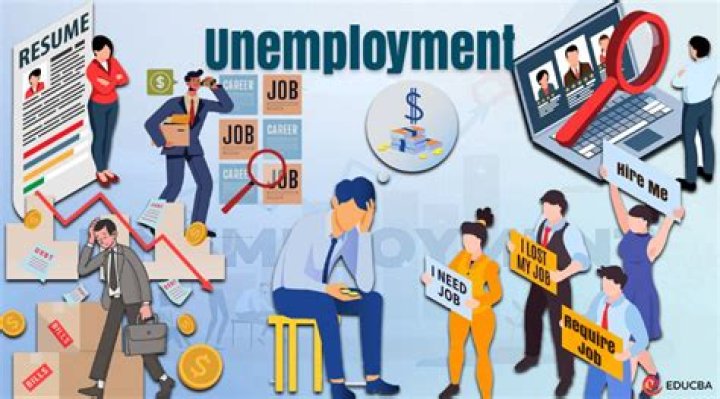 Do individuals pay into unemployment?