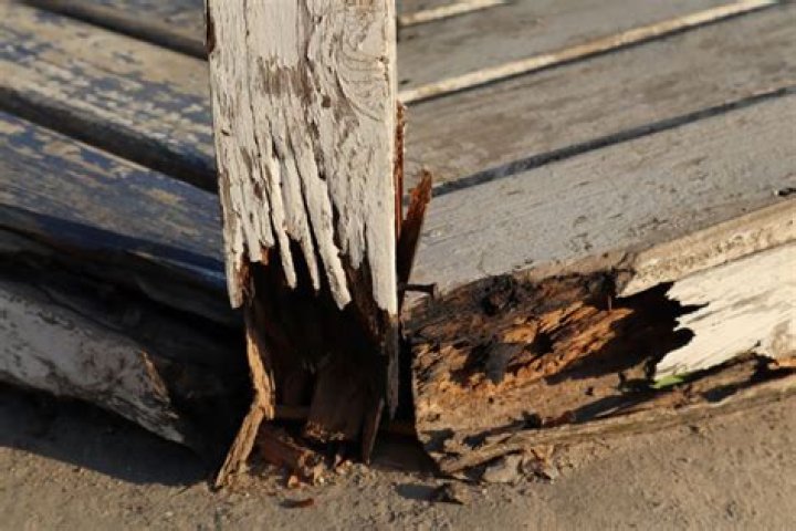 Do you have to replace rotted wood?