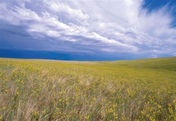 Does australia have prairies?