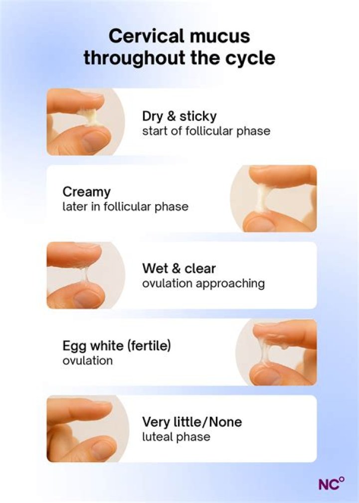 Does ejaculate smell like bleach?