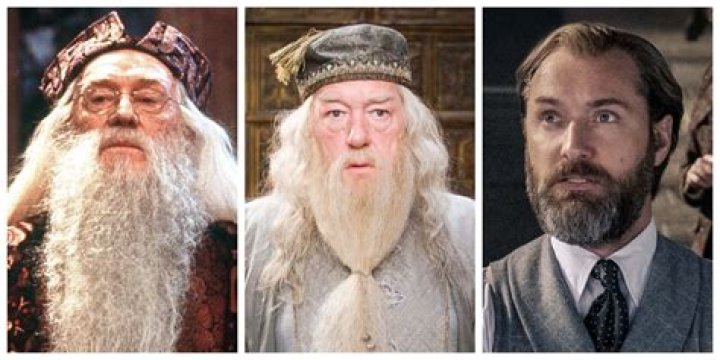 Does professor dumbledore die?