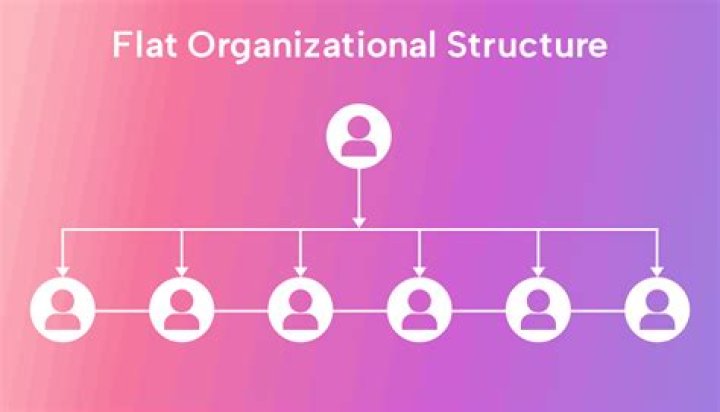For flat organizational structure?