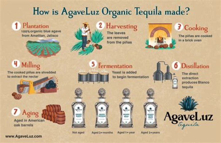 How tequila was discovered?
