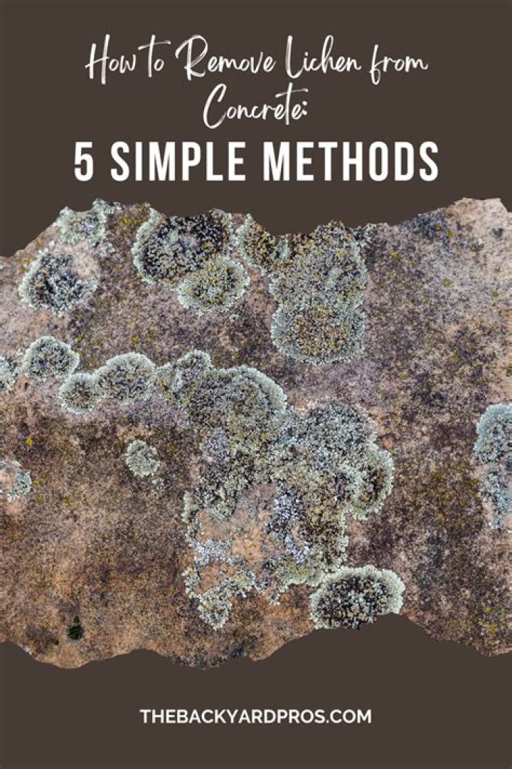 How to remove lichen?