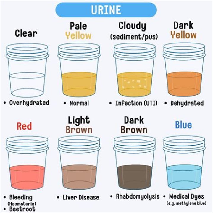 How would a unic pee?