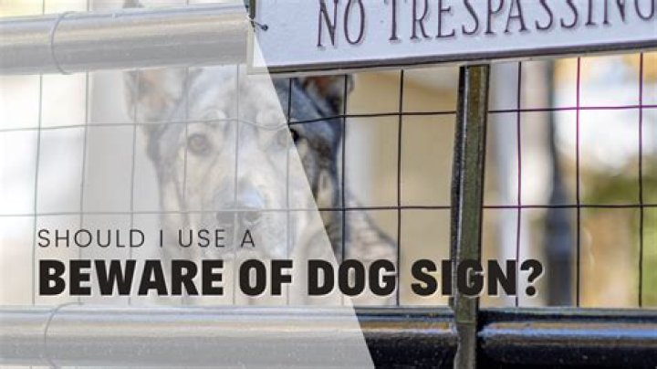 Is beware of dog?