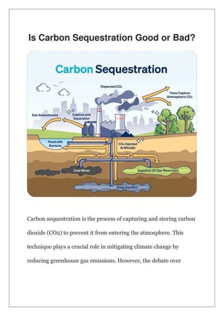 Is carbon sequestration good?