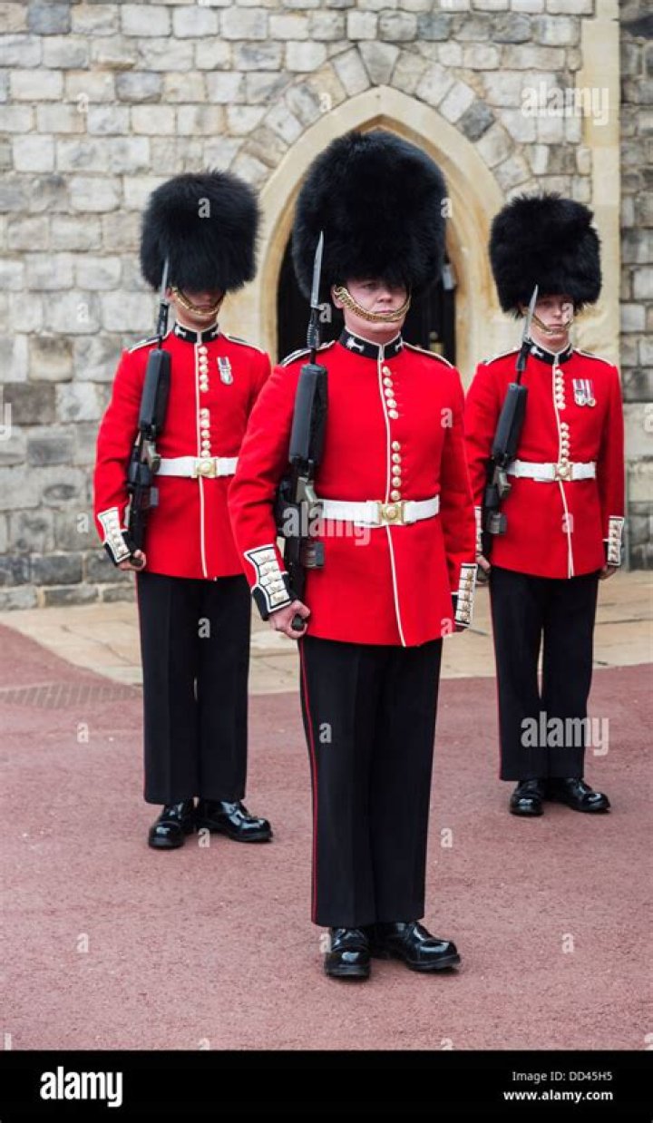 Is it busby or bearskin?