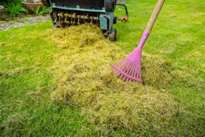 Is verticutting the same as scarifying?
