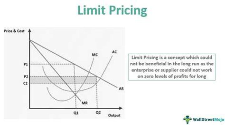 On the limit pricing?