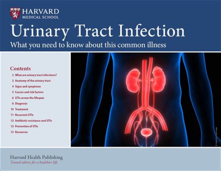 Should i see a gynecologist for a urinary tract infection?
