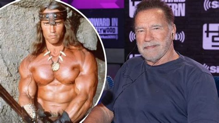 Was arnold schwarzenegger recalled?