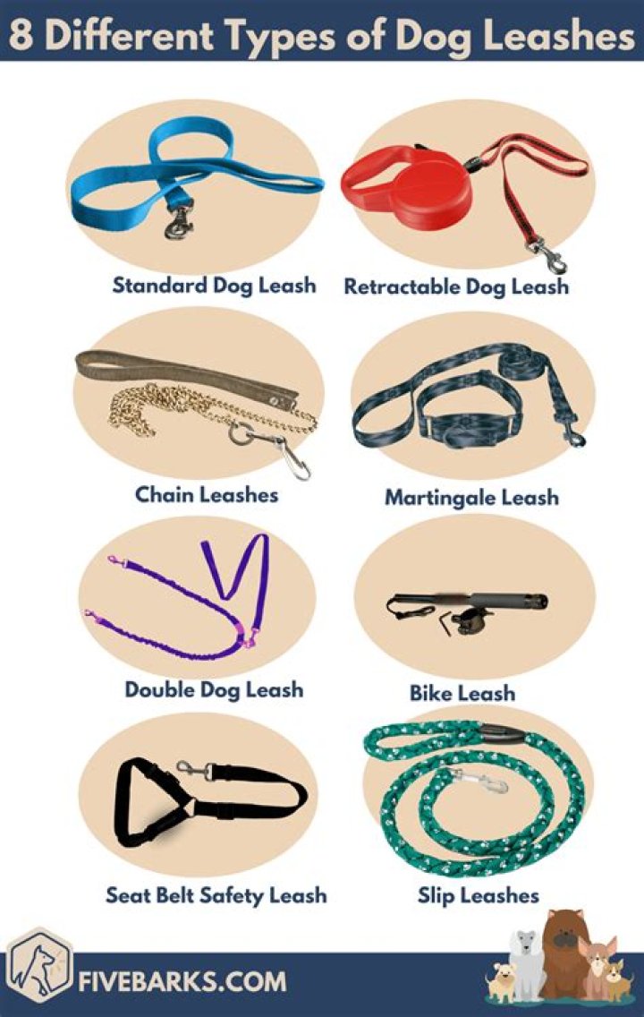 Was on a short leash?