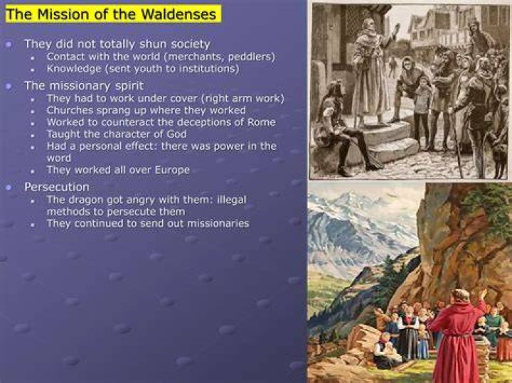 What did the waldensians believe?