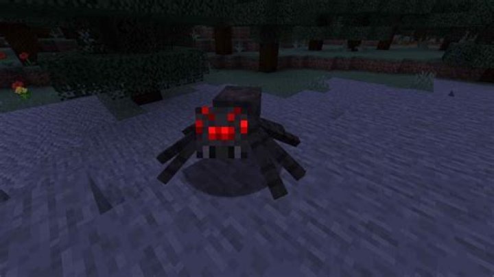 What do spiders eat facts?