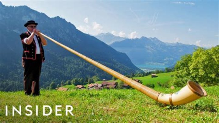 What does an alpenhorn look like?