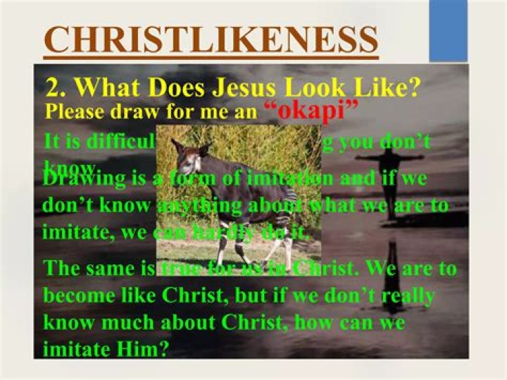 What does christlikeness look like?