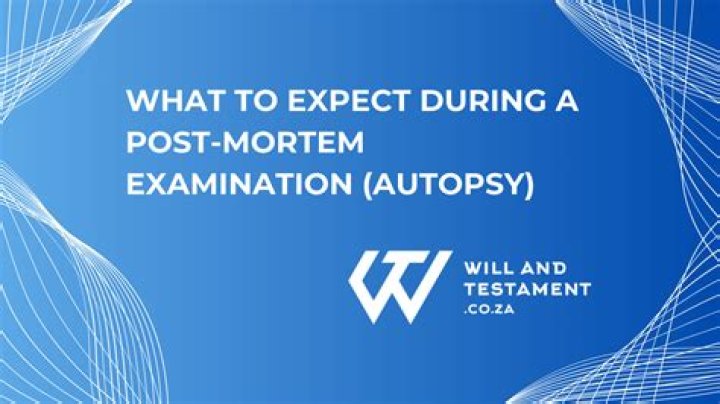 What does executorship mean?