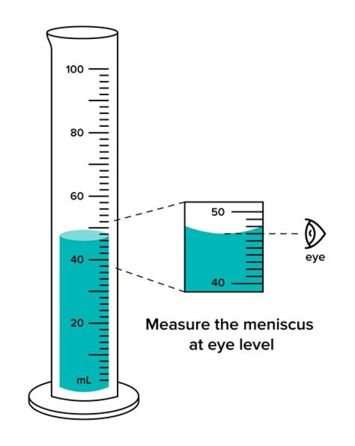 What does meniscus mean?