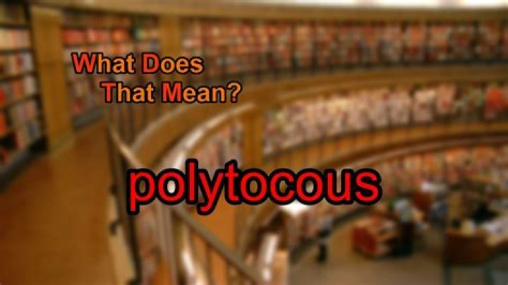 What does polytocous mean?