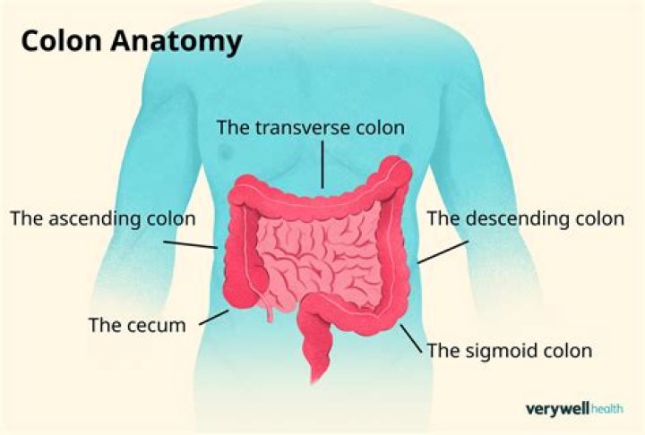 What does unprepared colon mean?