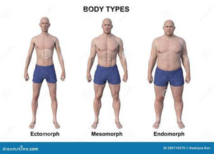 What is asthenic body type?