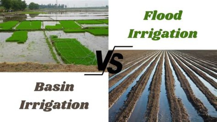 What is basin system in irrigation?