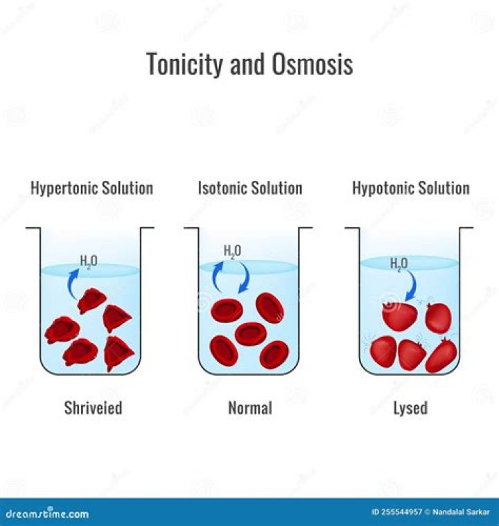 What is iso osmotic solution?