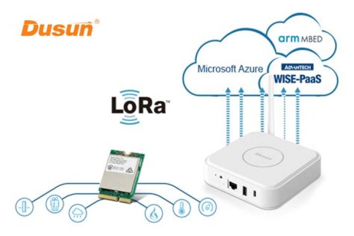 What is lora wireless?
