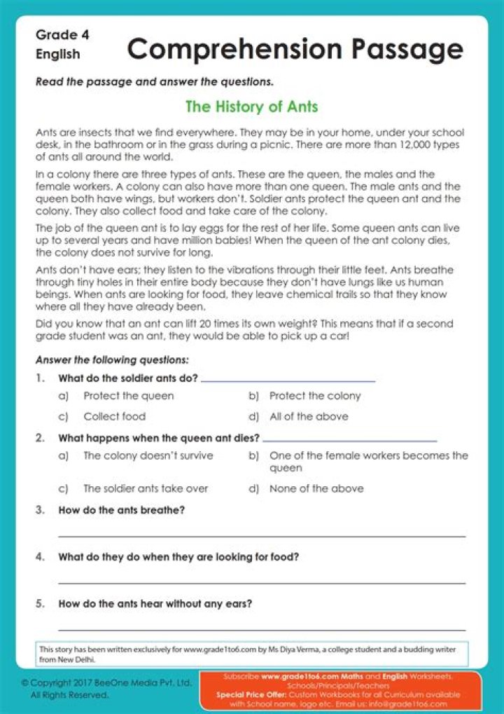 What is short passage?