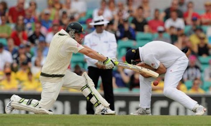 What is silly mid off in cricket?