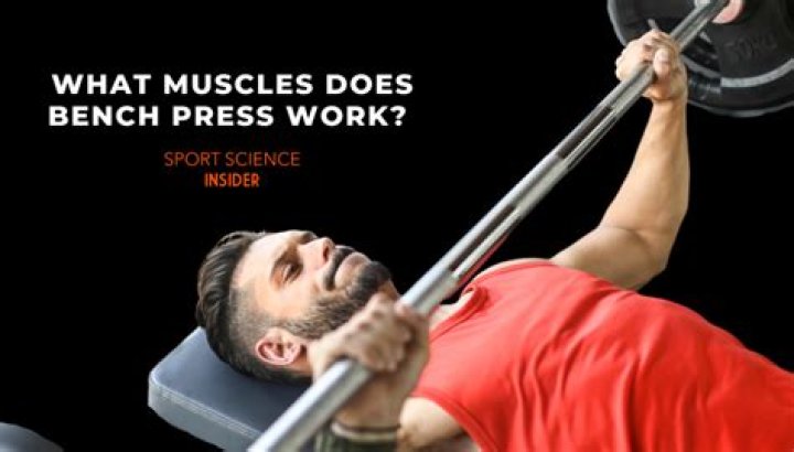 Whats a bench presses?