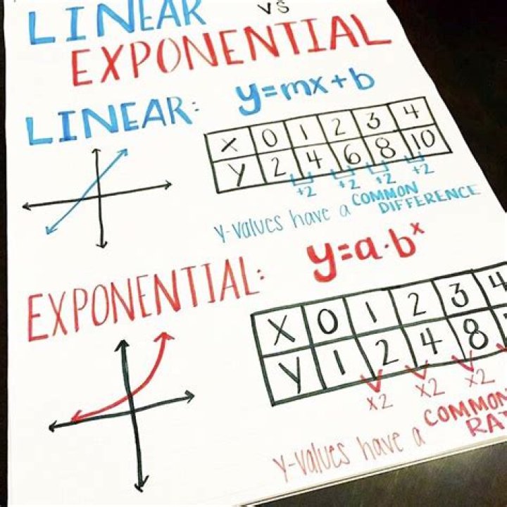 Whats the difference between linear and exponential functions?