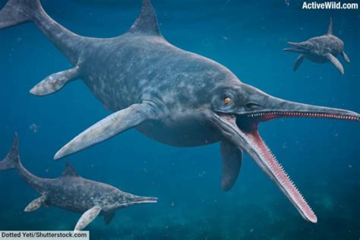 When did ichthyosaurus live?