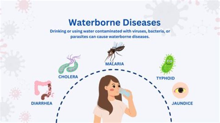When were water borne diseases discovered?