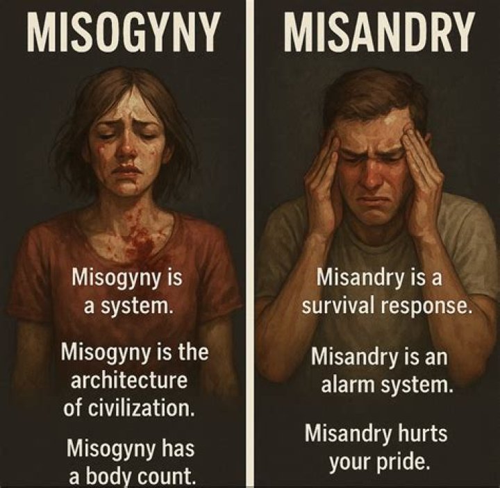 Where does the name misandry come from?