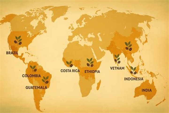 Where does thought originate?