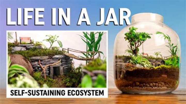 Which is a self-sustaining ecosystem?