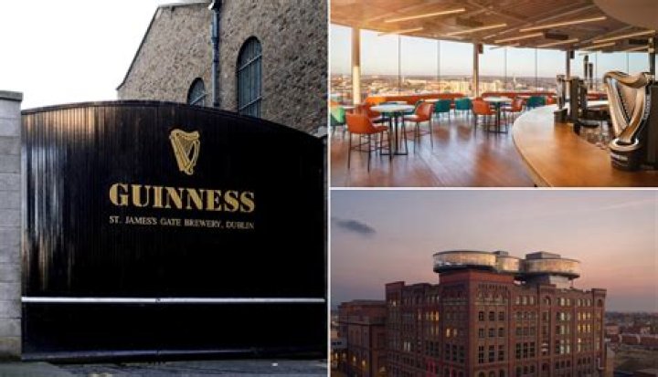 Who owns squatters brewery?