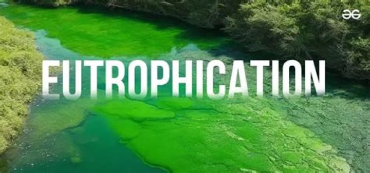 Who proposed the term eutrophication?