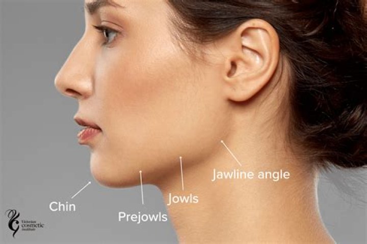 Who to see for jaw alignment?